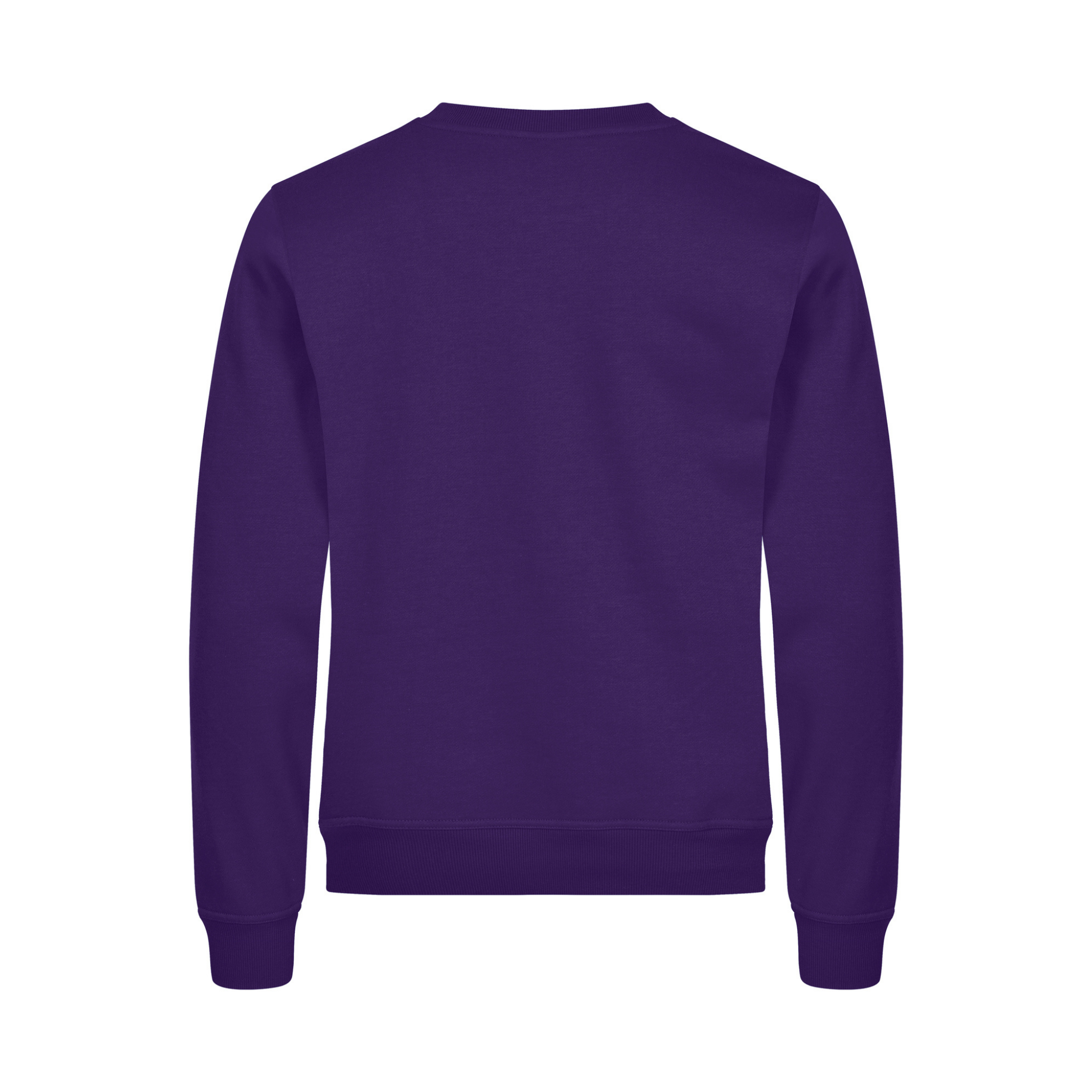 Clique Miami Sweatshirt Herr - Stark Lila-4