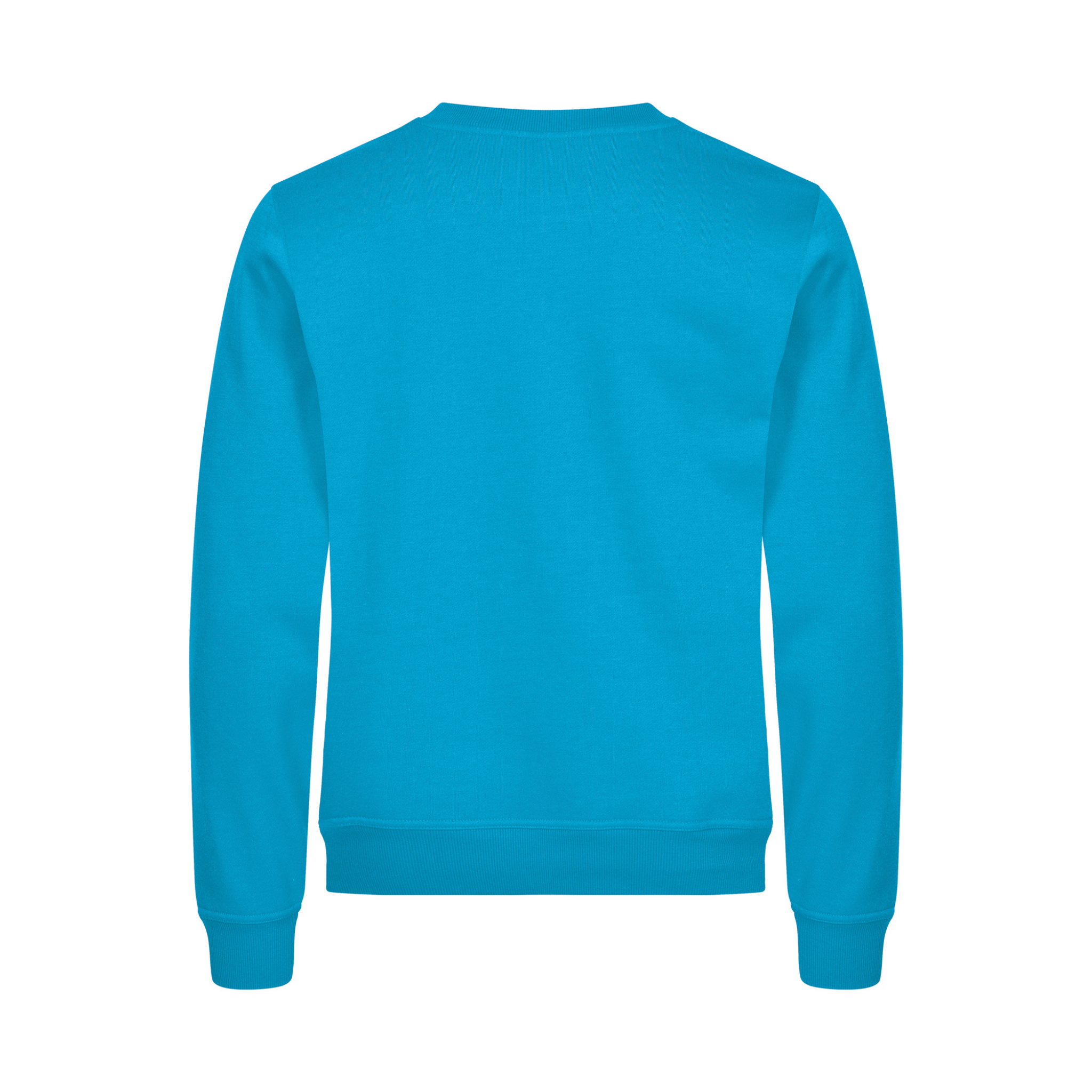 Clique Miami Sweatshirt Herr - Turkos-4